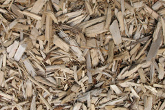 biomass boilers Whyteleafe